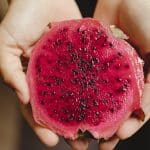 Rediscovering costa rica culinary treasures with rlt cuisine